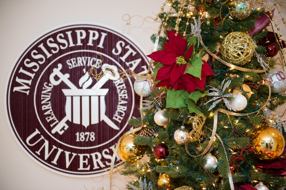 Have A Very Merry Mississippi Christmas with this State Pride