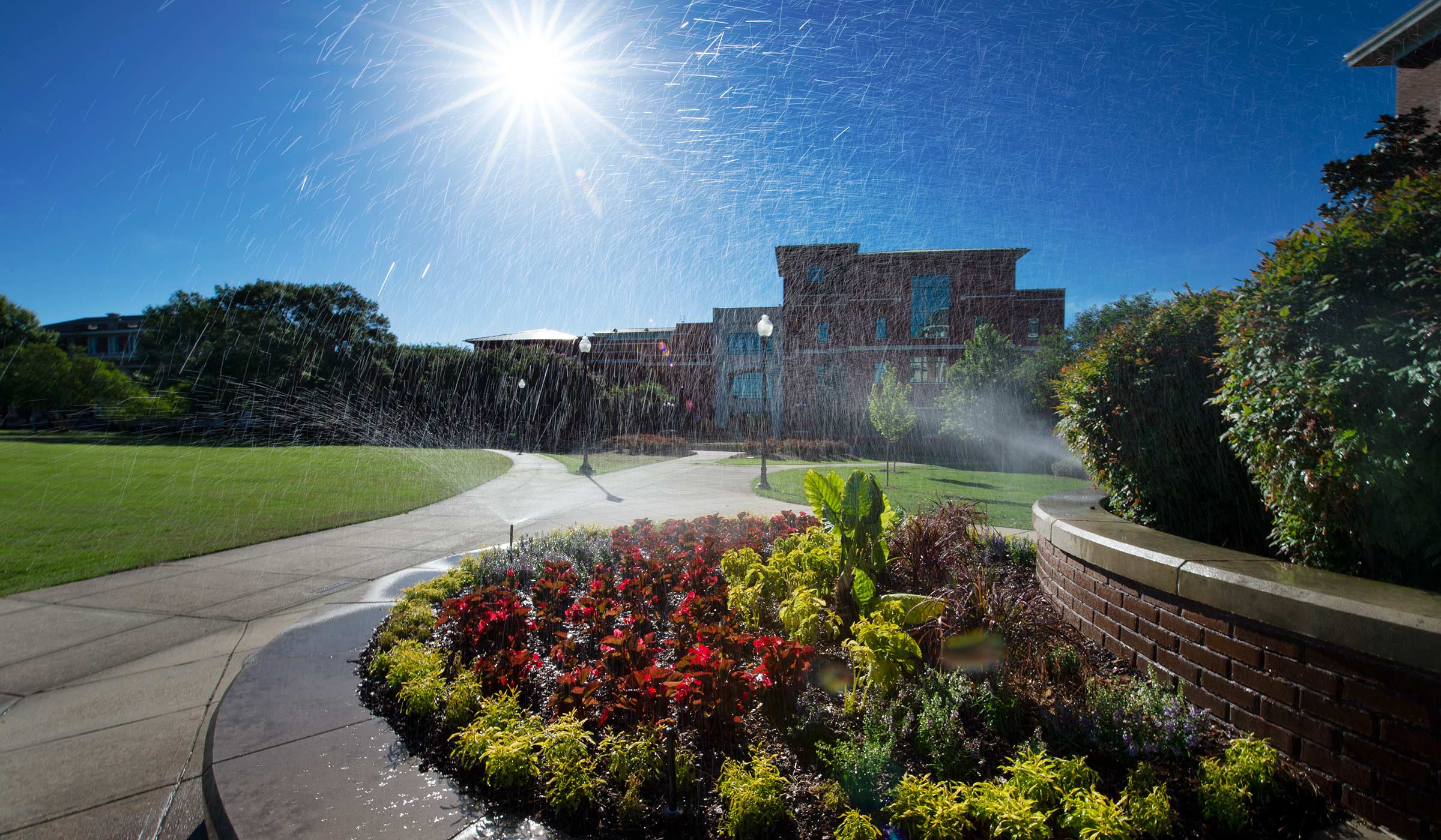 The morning sun catches sprinkler droplets over a flower bed in front of Swalm.