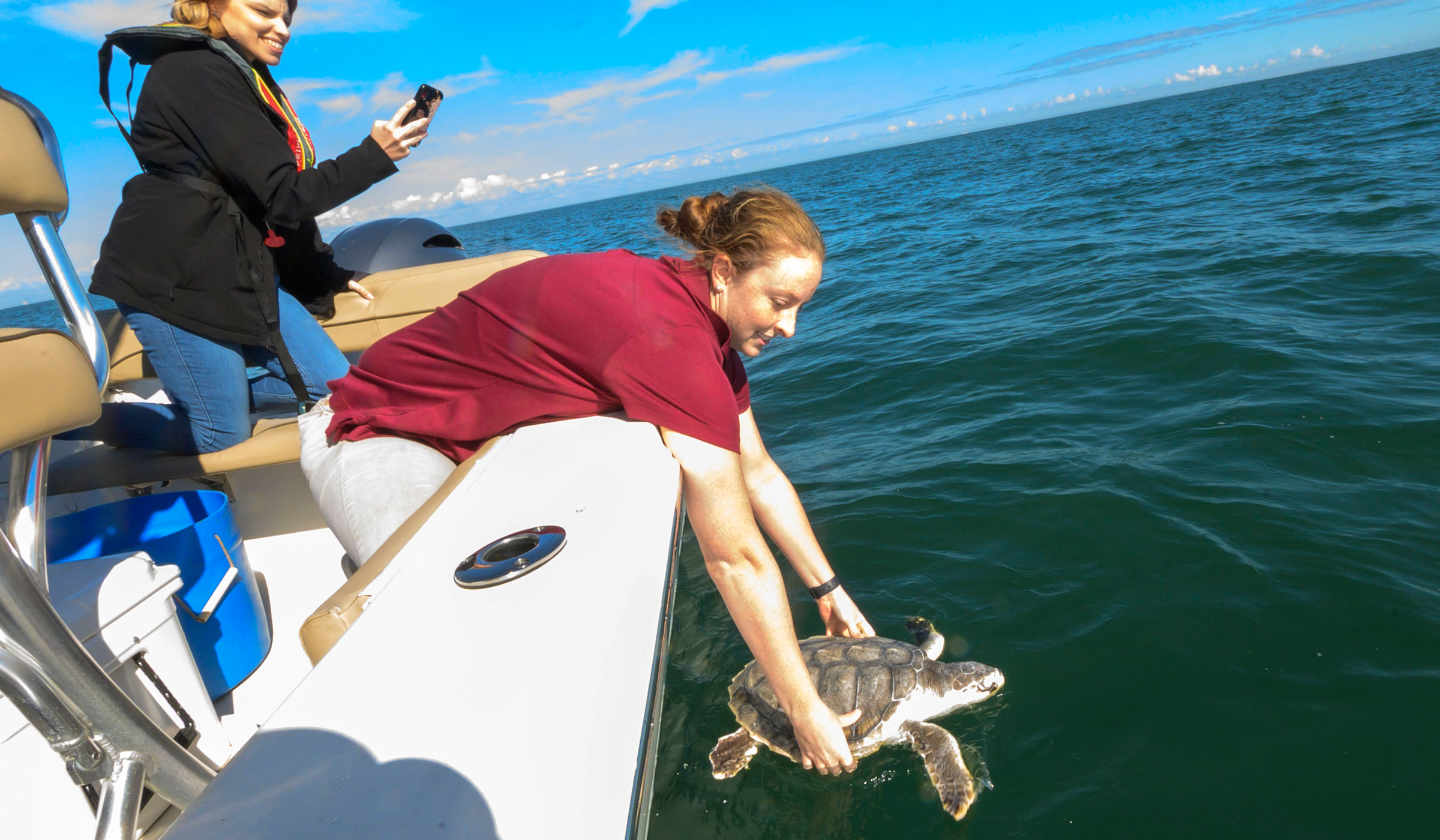 A student dressed in red leans over the side of a white boat, holding a sea turtle just before releasing it into the blue waters of the Gulf of Mexico.
