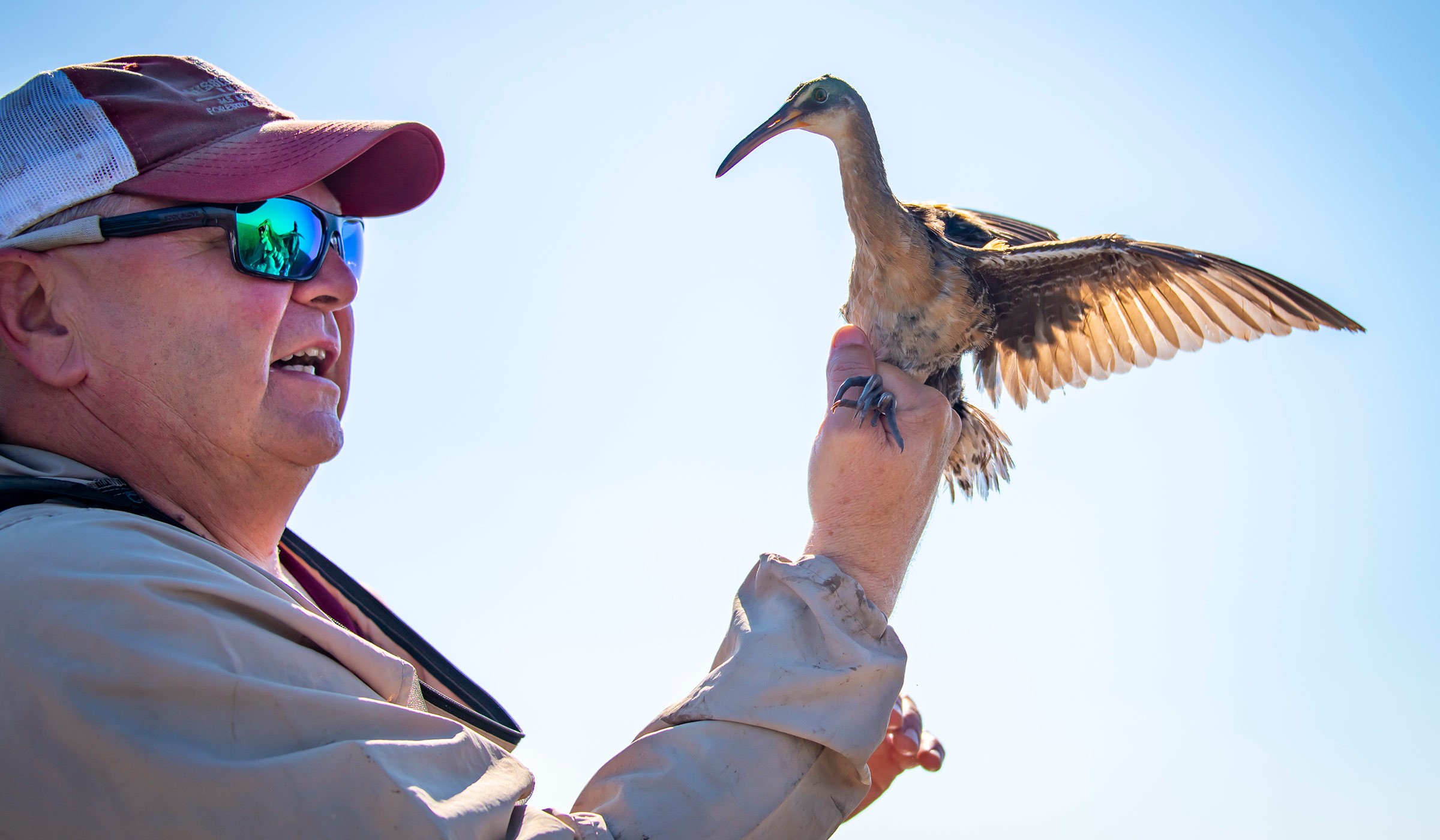 Mark Woodrey holds a bird in front of the bright blue sky