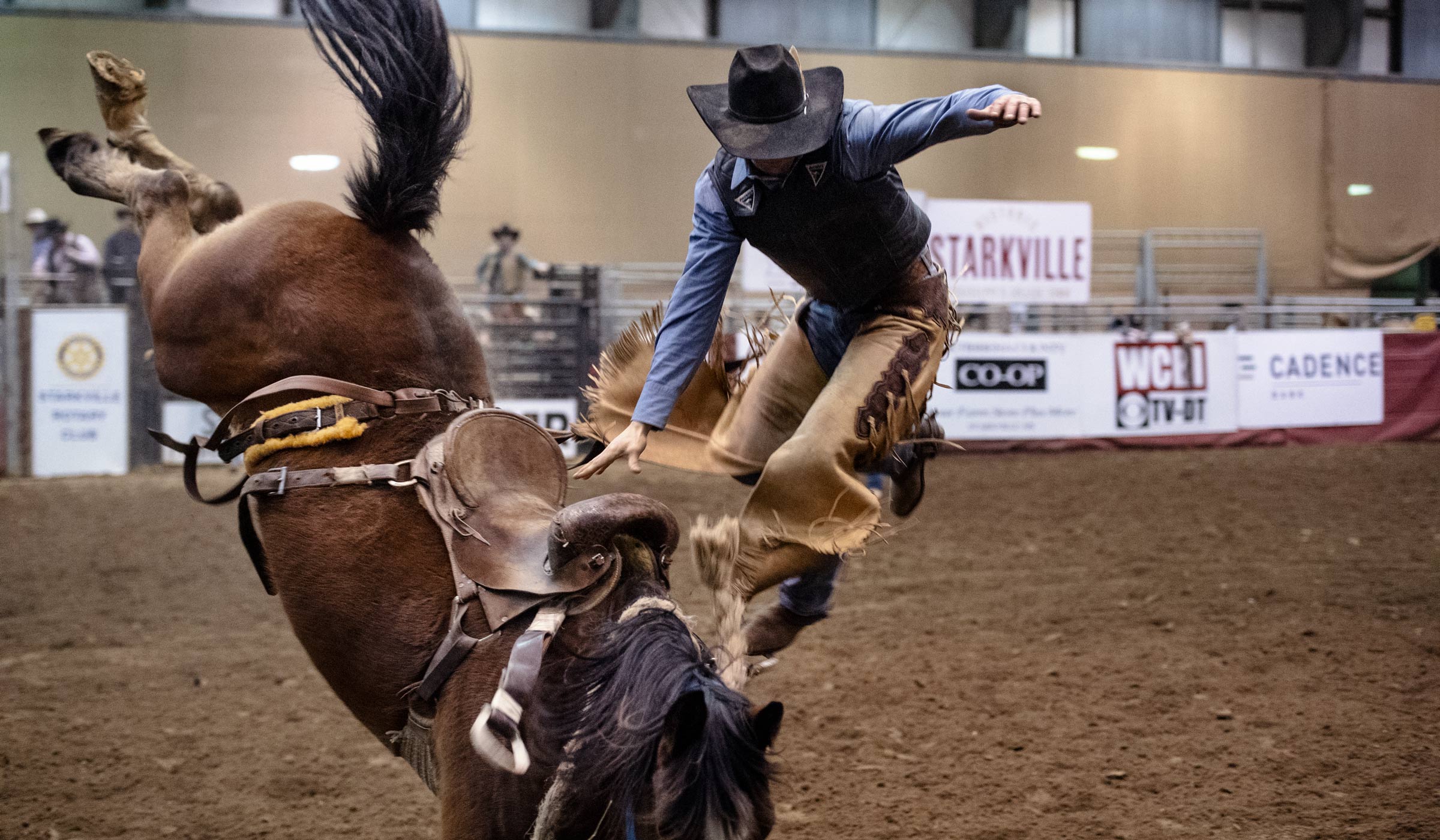 Tight photo of a rodeo cowboy being tossed off the side of a bucking bronco.