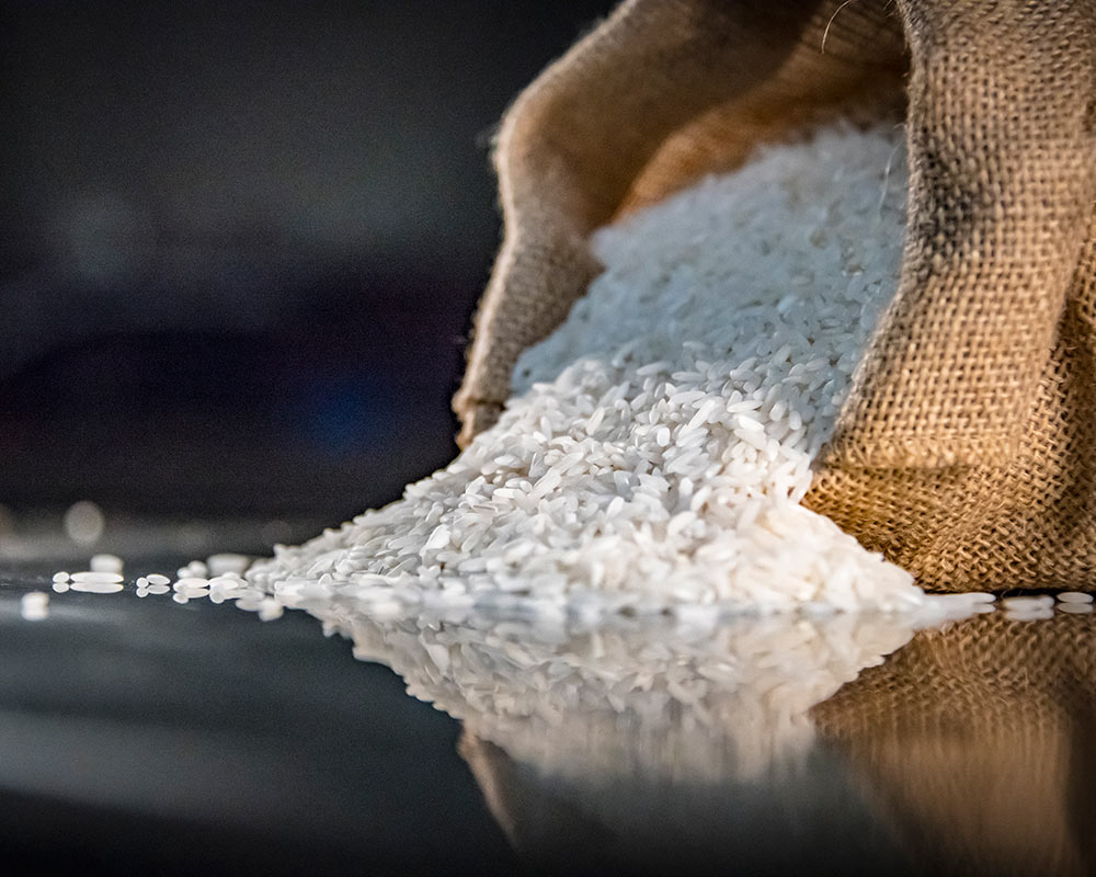 MSU scientists develop climate resilient rice as part of $10 million ...