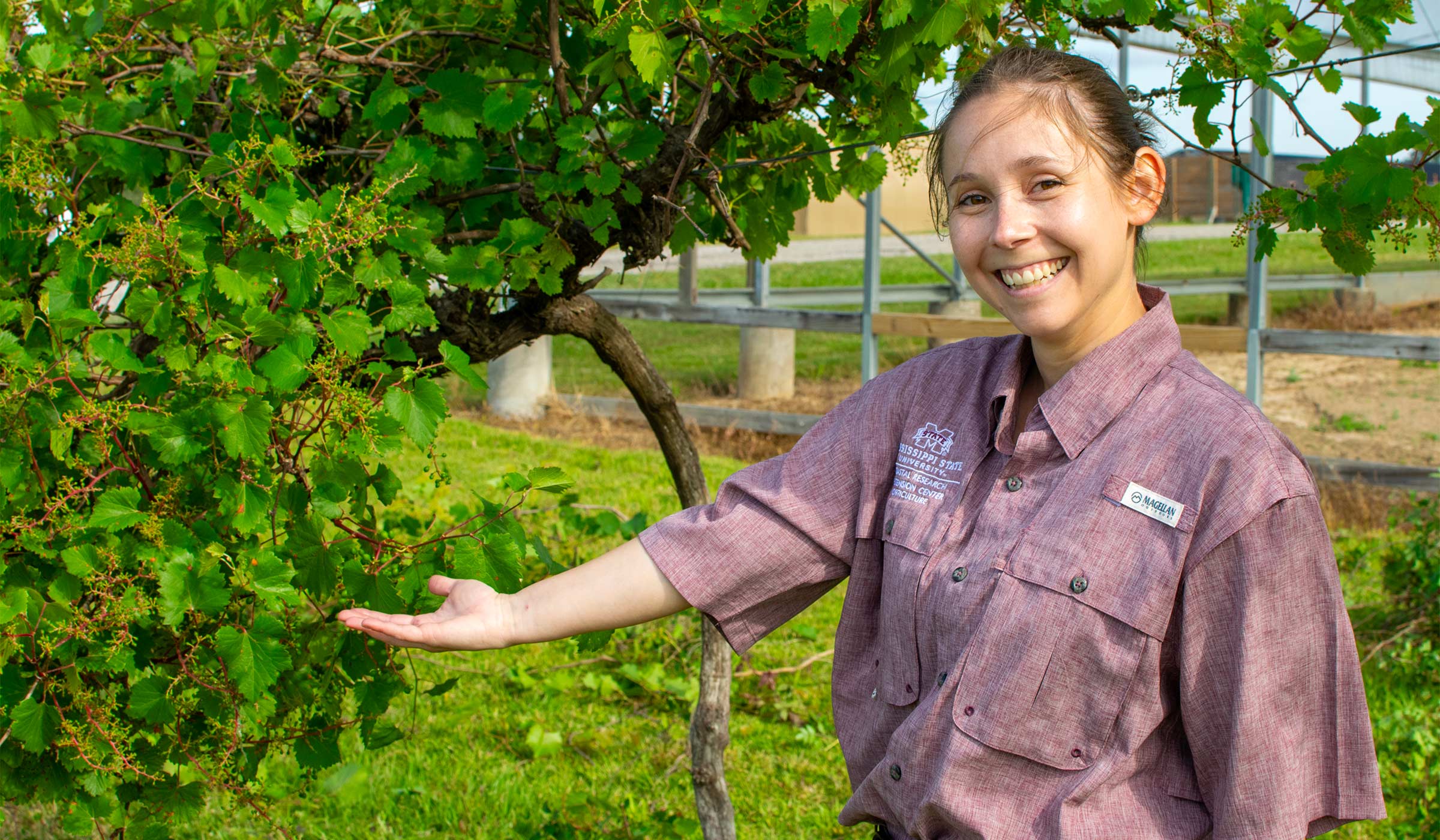 Haley Williams portrait by grape or muscadine vines