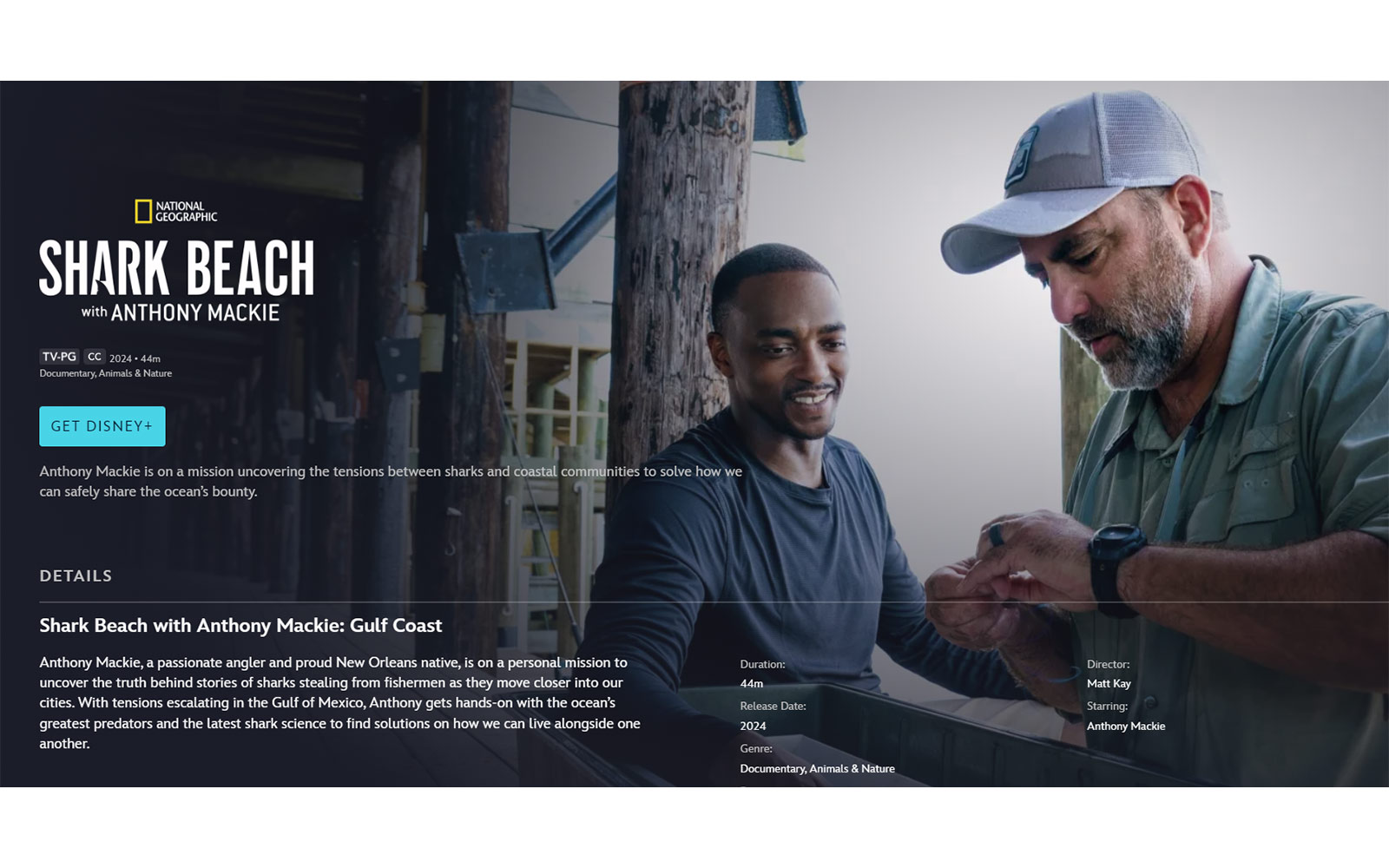 Work of MSU shark scientist featured on Disney+ National Geographic