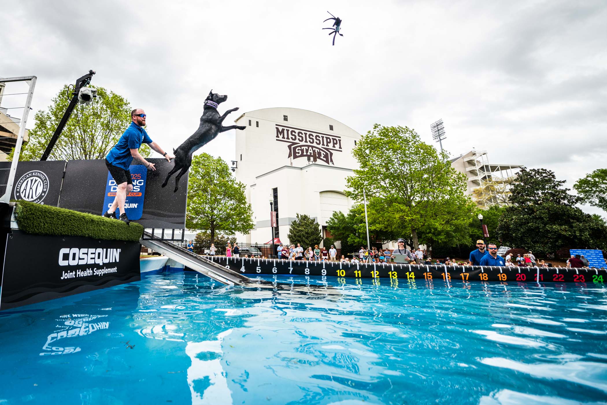 The MSU community gathers together in the Junction on Saturday [April 5,] to witness America&#039;s best canine athletes showcase their physical strength and agility at the 2025 American Kennel Club Diving Dogs Premier Cup, sponsored by Nutramax. The canine competitors hailing from all over the country are featured in three categories: Distance, Air Retrieve and Hydro Dash, displaying their abilities in thrilling jumps and splashes. The event celebrates both the impressive skills of the dogs and the strong bond 