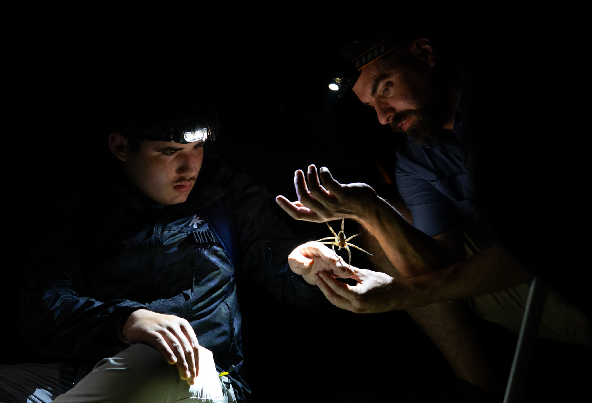 Research Associate Ray Fisher (right) coaches Bug Camper Ben Gotsch (left) on handling a dark fishing spider during a night session of MSU Entomology's annual Bug Camp. 