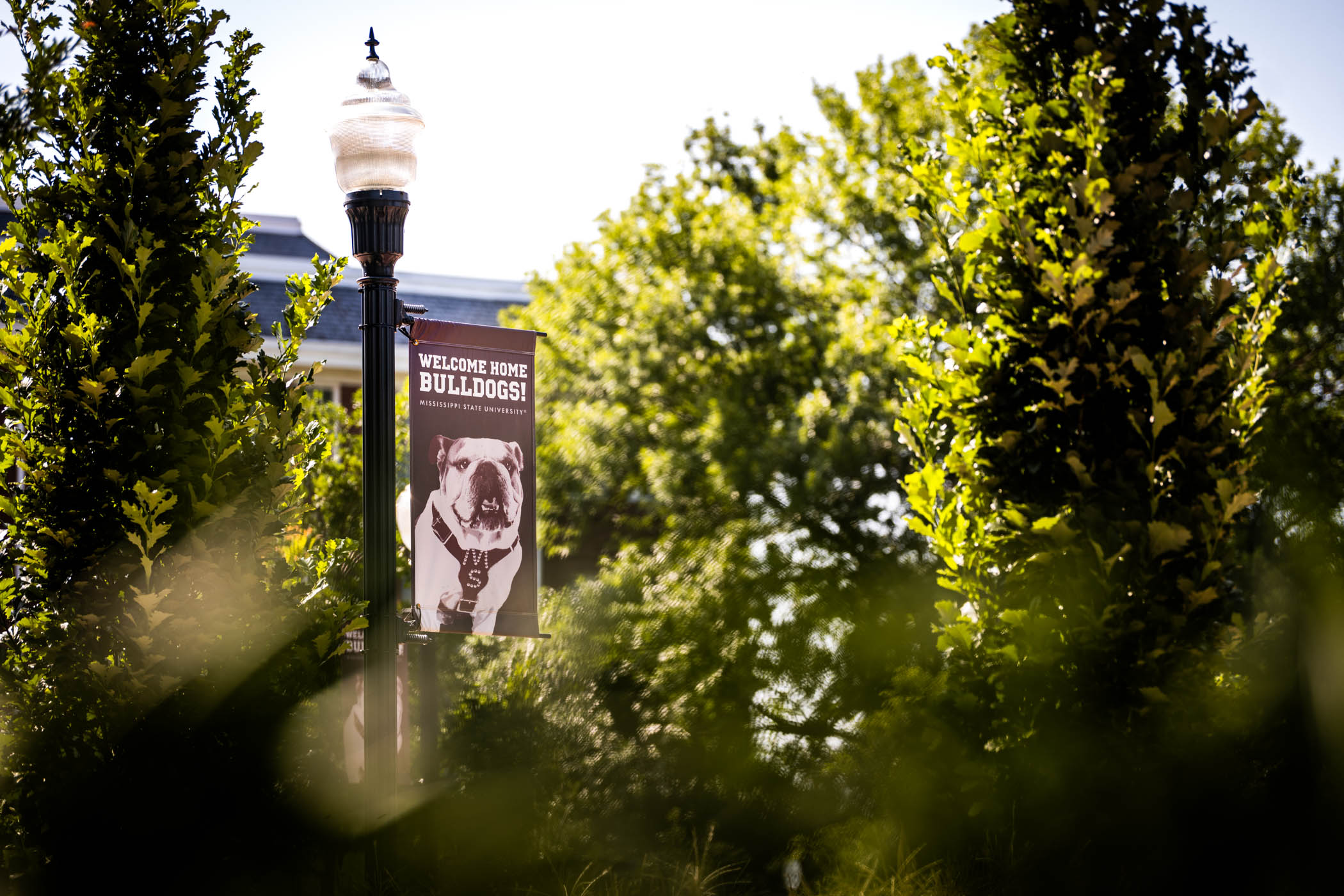 New banners along YMCA Plaza welcome incoming Freshmen to campus at summer orientation sessions, inviting new bulldogs and their families for an up close and personal Mississippi State experience. This month, MSU Orientation has hosted eight sessions for the incoming class of 2030, with this week wrapping up available two-day sessions. 