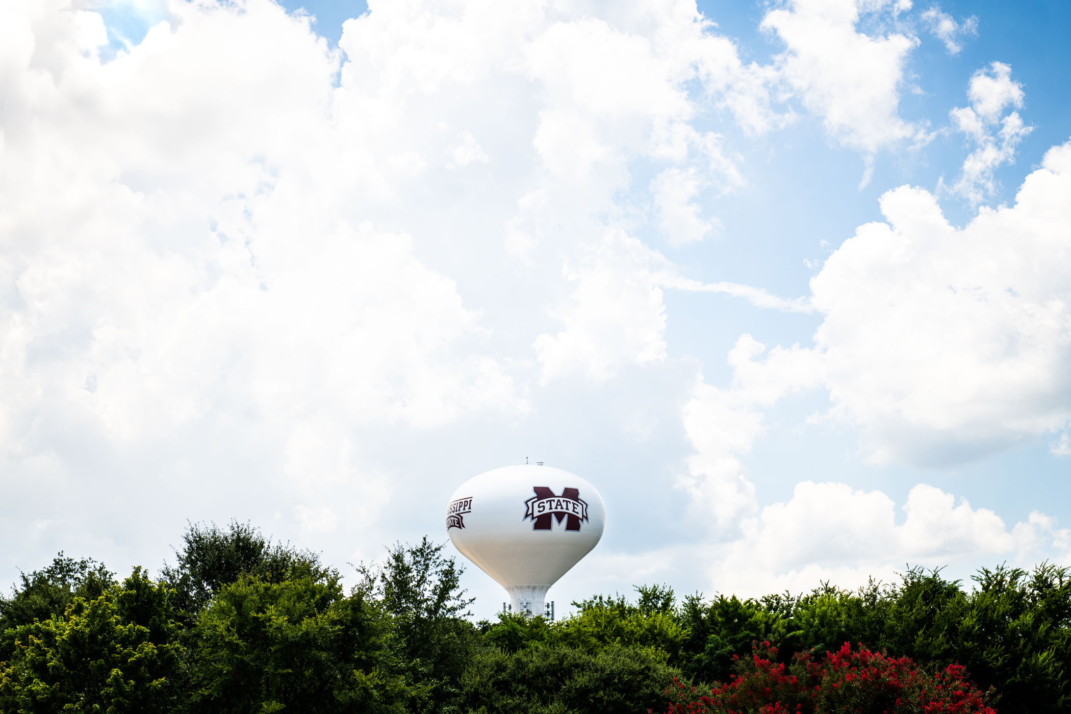 Set against a sky of scattered clouds and steady blue, MSU’s water tower rises above a thick treeline Wednesday [July 30],  creating a calm midsummer scene in Starkville.