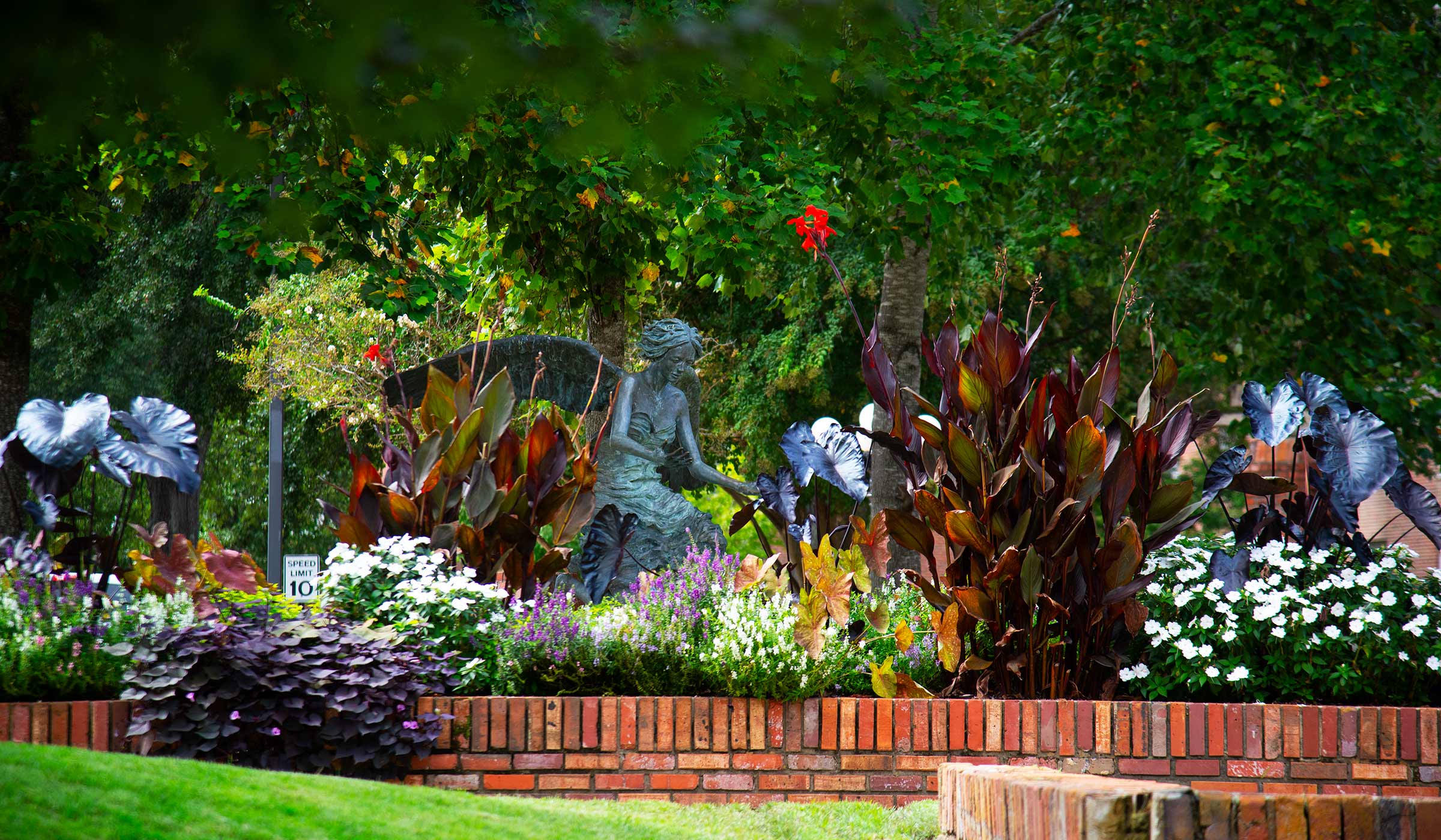 photo of flowers on campus