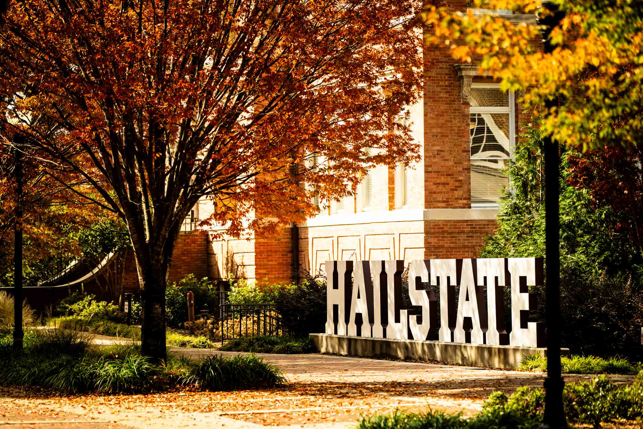 Fall erupts in full color around campus, creating a vibrant backdrop for daily life at MSU—made complete by the Hail State sign standing strong in the season’s glow. 