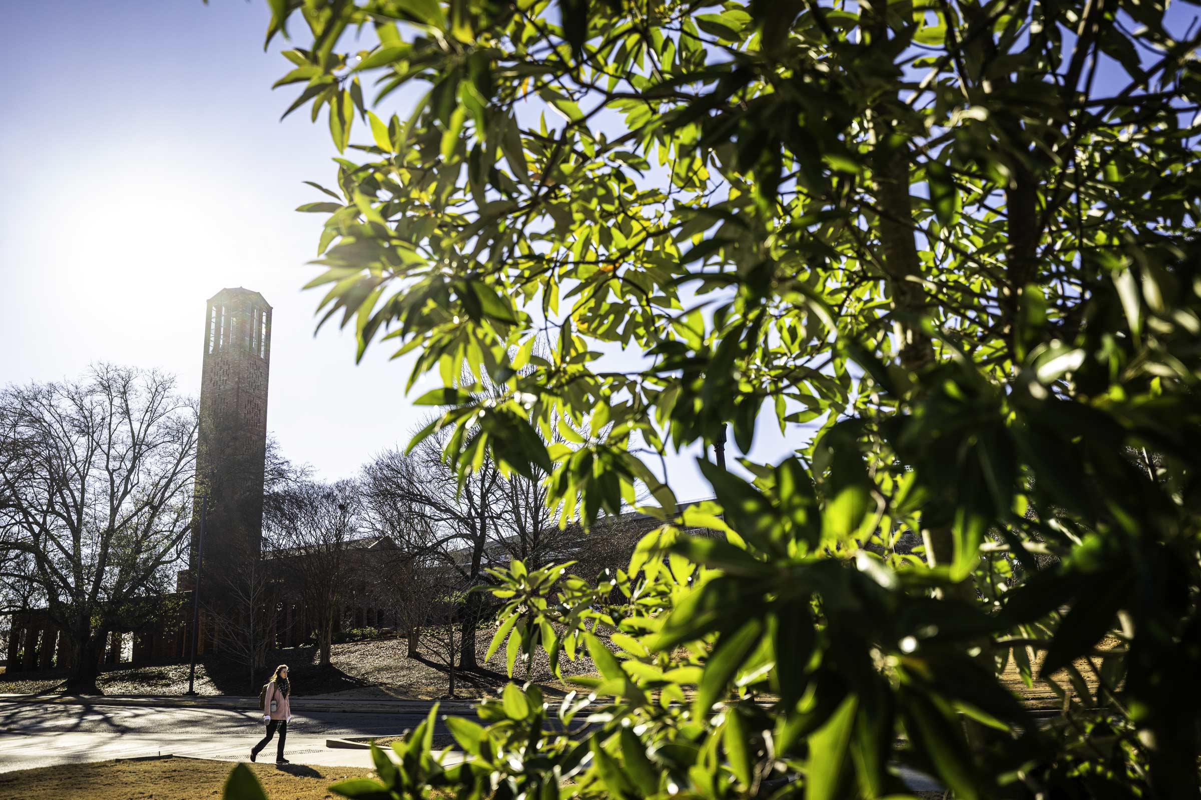Sunshine beams over campus Tuesday [Jan 27] following a weekend of severe winter weather, casting a warm glow on Mississippi State as students and staff step back into a refreshed week. 