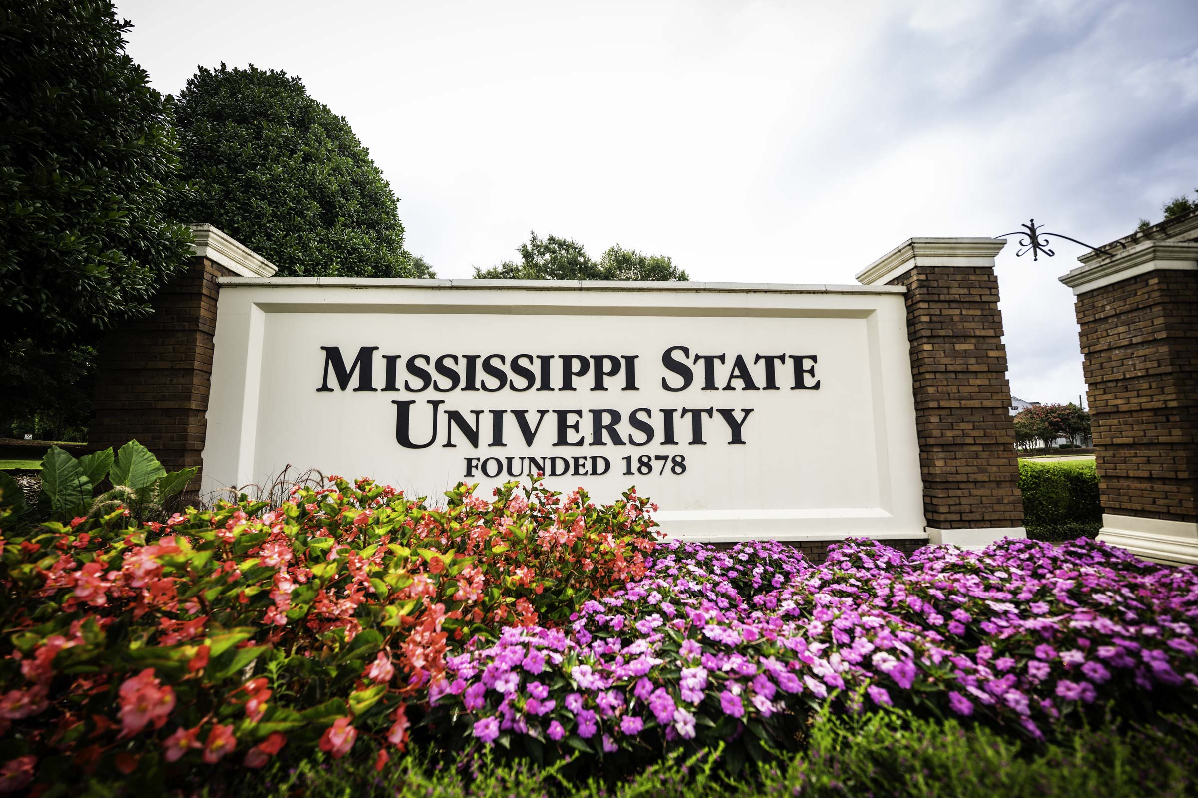 Colorful flowers frame the northwest Mississippi State University entrance sign along Stone Boulevard, where construction on a new traffic circle is nearing completion. The roadway improvements are expected to enhance traffic flow and safety for the upcoming school year.