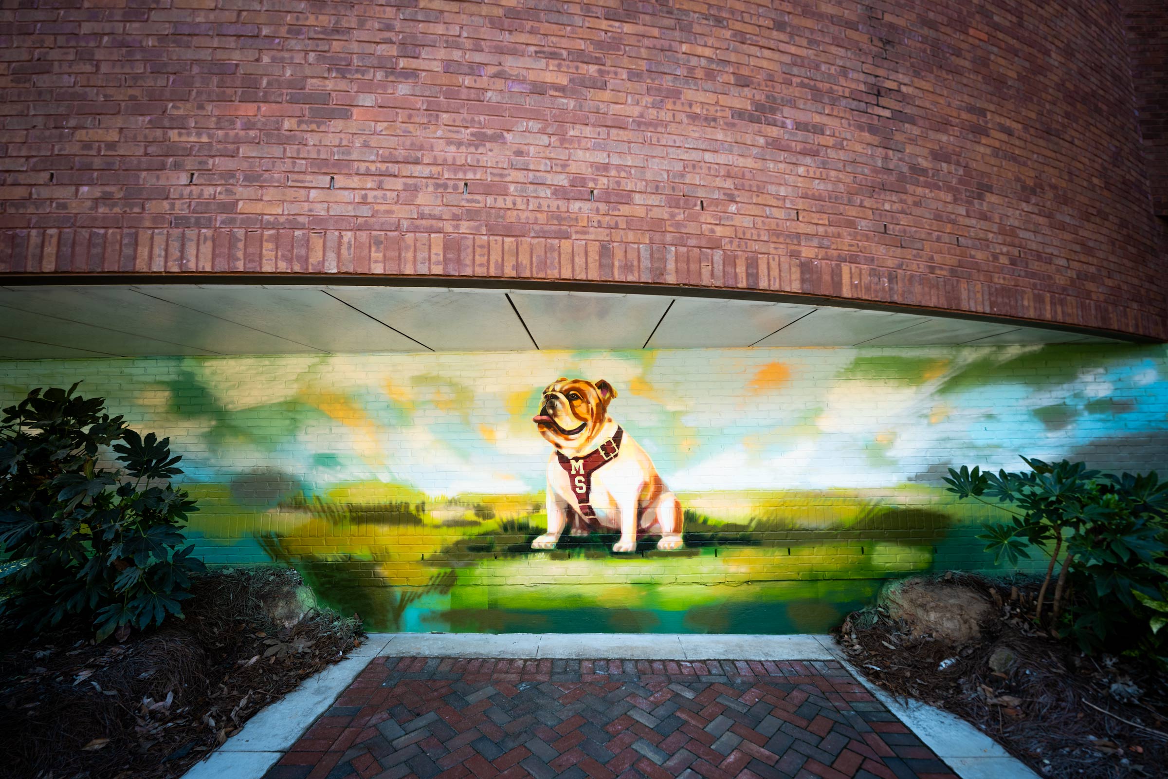 The eastern side of McCool Hall receives a new look thanks to the efforts of of 2010 College of Architecture, Art and Design alumna and Mississippi Gulf Coast muralist Julia Reyes. The mural enhances the campus landscape while highlighting the lasting contributions of Mississippi State alumni to the university’s visual character.
