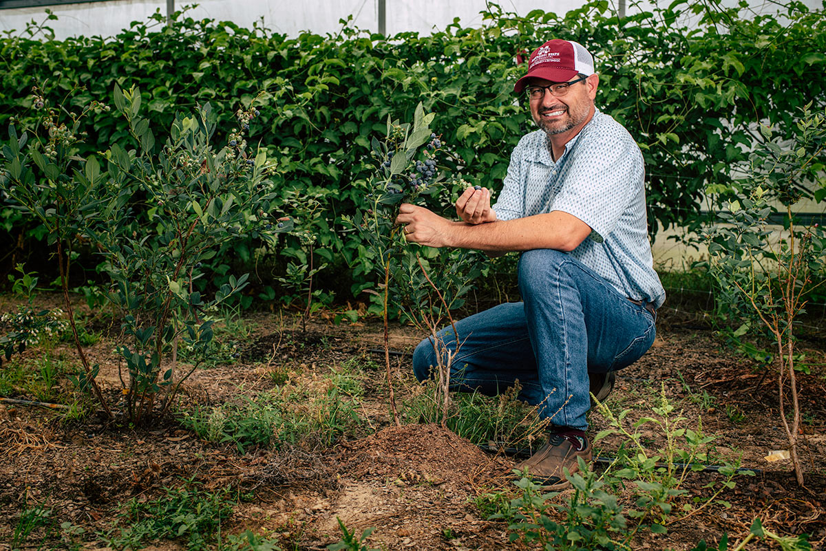 Eric Stafne, pictured among growing plants.