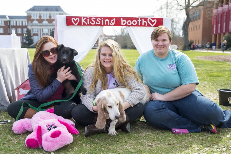 Valentine&amp;#039;s Day Pups