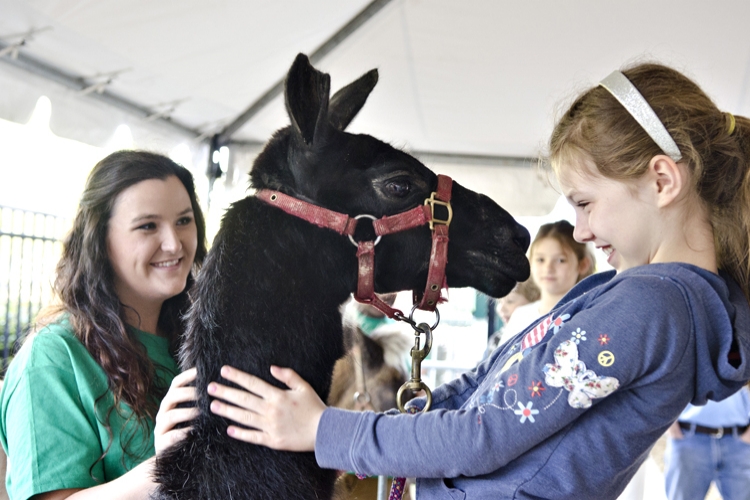 Open House at Veterinary College