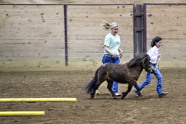 Therapeutic Riding Expo (TRAC program) at Horse Park