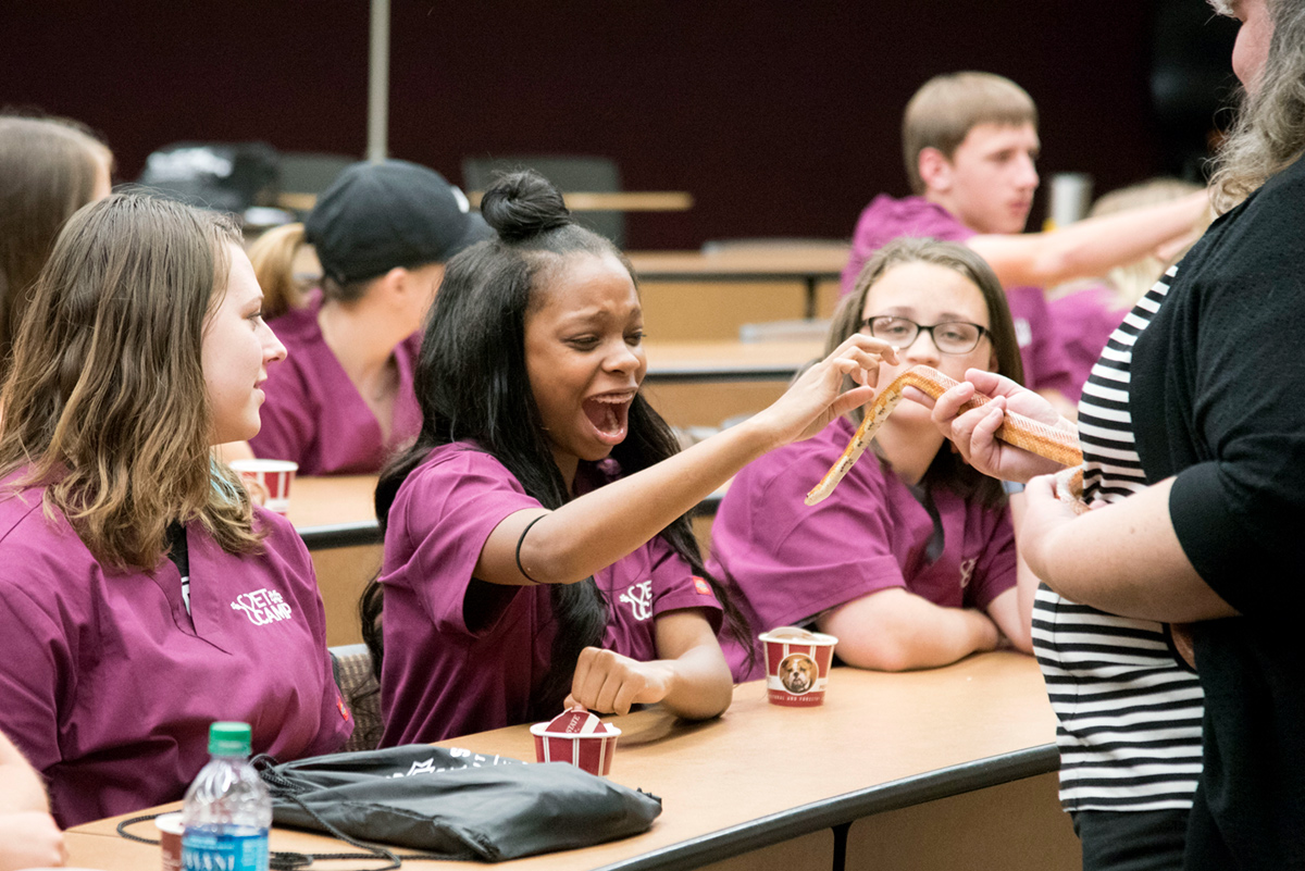 Vet School campers enjoy petting a snake in the exotics lab