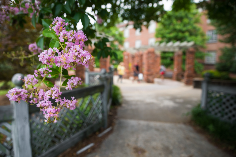 Flowers between the Chapel of Memories and Hull Hall