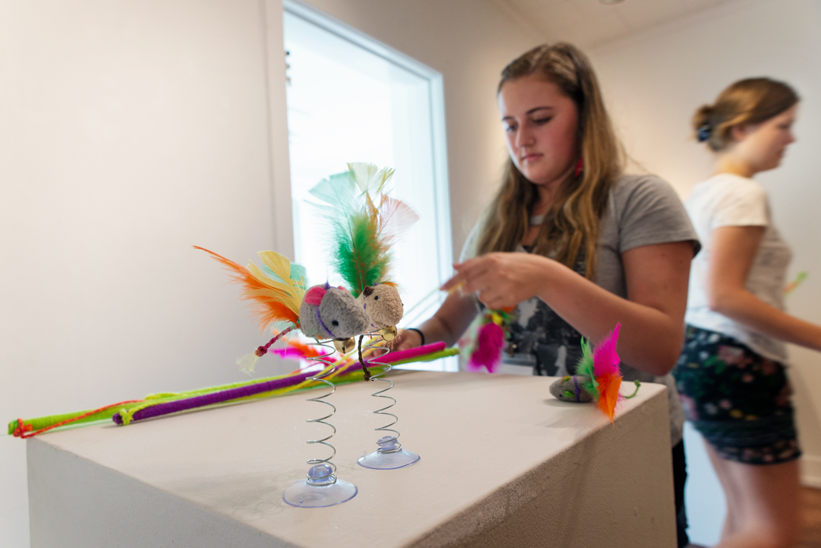 Caroline Criswell, and Lizzy Bigelow working to set up cat toys for pop-up pet store