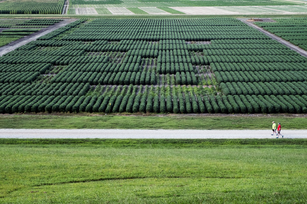 Higher point of view of a field of crops with two people walking by the field.