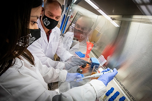 A woman and man wearing masks and gloves work in a laboratory setting.