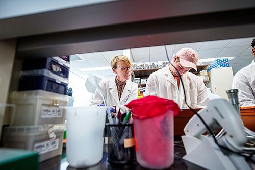 From left: Heather Jordan, an associate professor in the Mississippi State Department of Biological Sciences, conducts research in insect agriculture with students in Harned Hall.