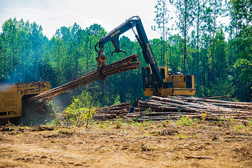 Pictured is a demonstration of a knuckleboom loader pulling logs out of a delimber during the 2016 Mid-South Forestry Equipment Show. (Photo by Karen Brasher)