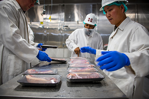 MSU scientists package meat at the university's meat science lab