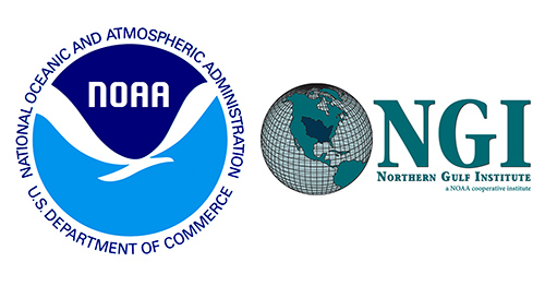 NOAA and NGI logos