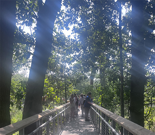 Visitors on the boardwalk