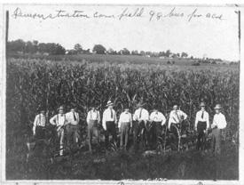 Early black and white photo of MSU alumni in corn field.