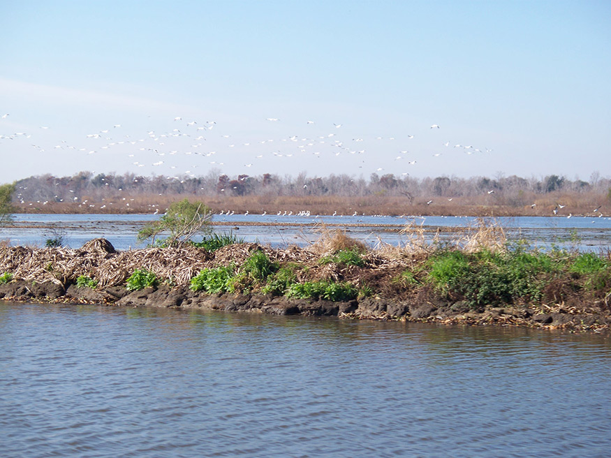 Terracing and marsh creation south of Big Mar Lake in Louisiana. (Photo by U.S. Fish and Wildlife Service) 