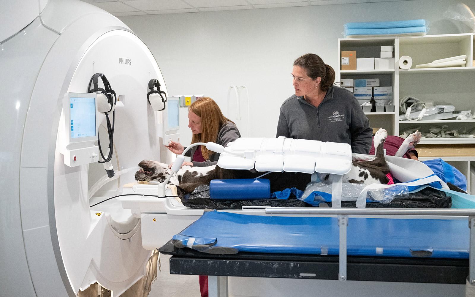Mississippi State veterinary assistant Ashley Whitten, left, and Dr. Allison Lee, College of Veterinary Medicine assistant professor, assess a patient with the Animal Health Center’s new MRI machine. The CVM facility now offers on-site neurology services, thanks to recent renovations. (Photo by Tom Thompson)