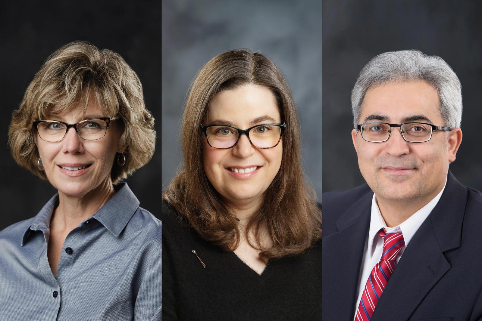 Dana Franz, Donna Pierce, and Mohammad Sepehrifar head shots