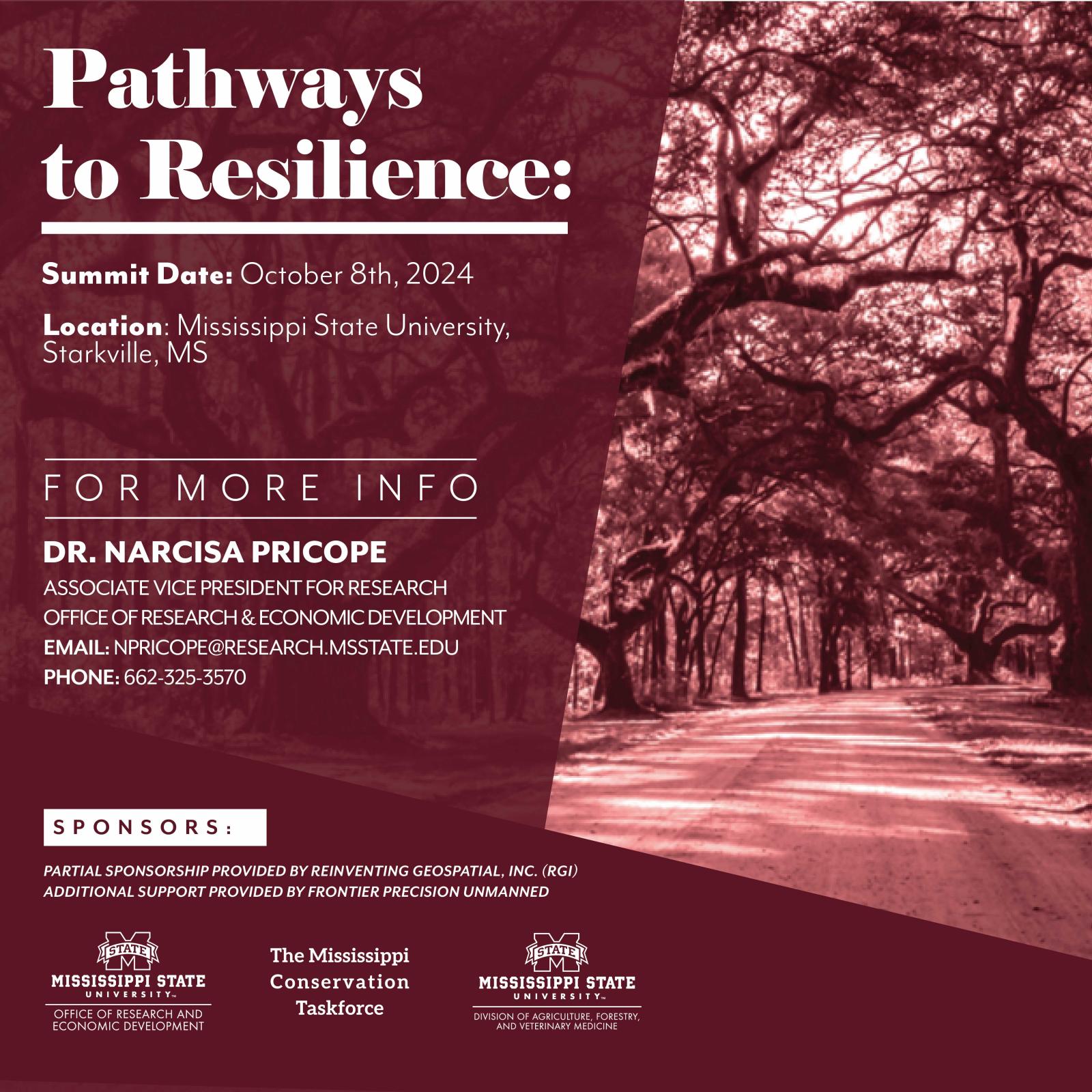 Pathways to Resilience Summit large graphic