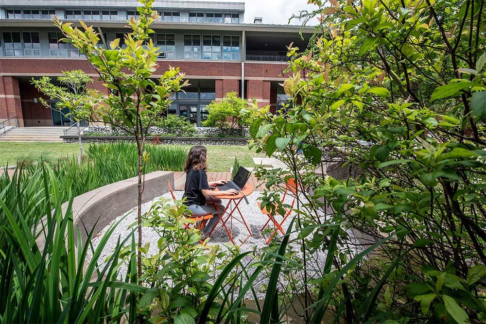 A student studies in the courtyard of Mississippi State’s newly renamed Department of Landscape Architecture and Environmental Design.