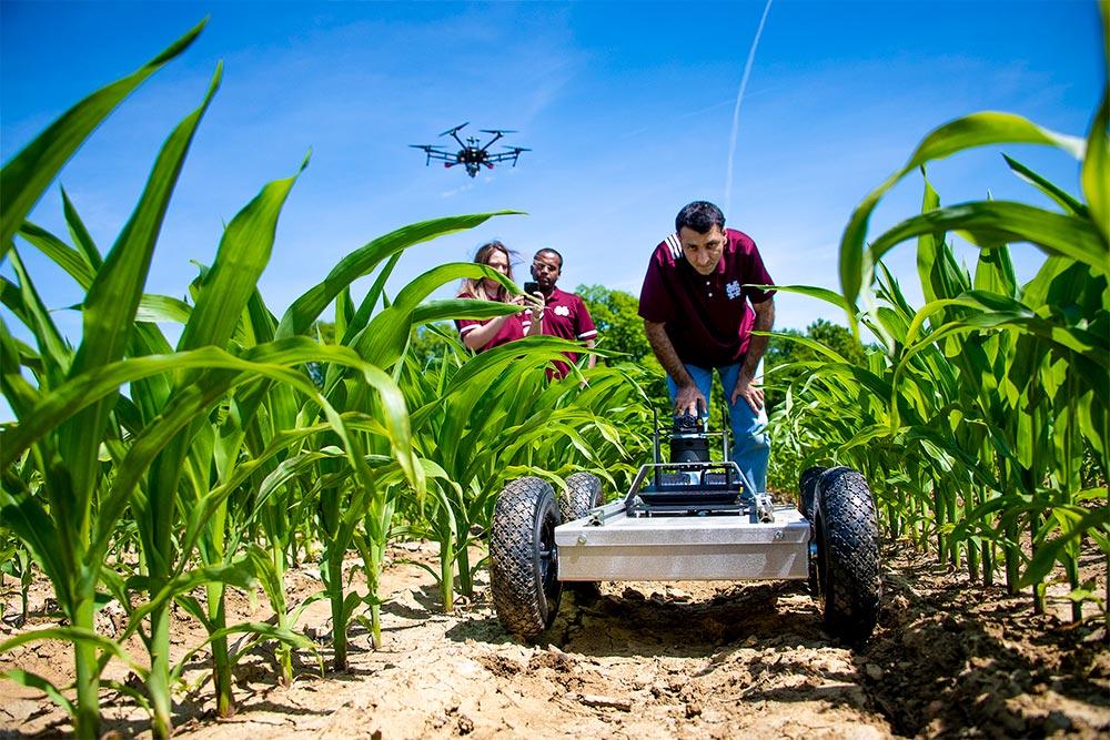 Mississippi State University Assistant Professor Hussein Gharakhani, front, is a MAFES scientist whose research focuses on agricultural autonomy—the concept of machines that independently perform tasks traditionally requiring manual labor. Also pictured are Research Associate Jessica Wolfe and Assistant Professor Nuwan Wijewardane assessing a robot in a corn field as a UAV flies above at the university’s W.B. Andrews Agricultural Systems Research Farm. (Photo by Dominique Belcher)