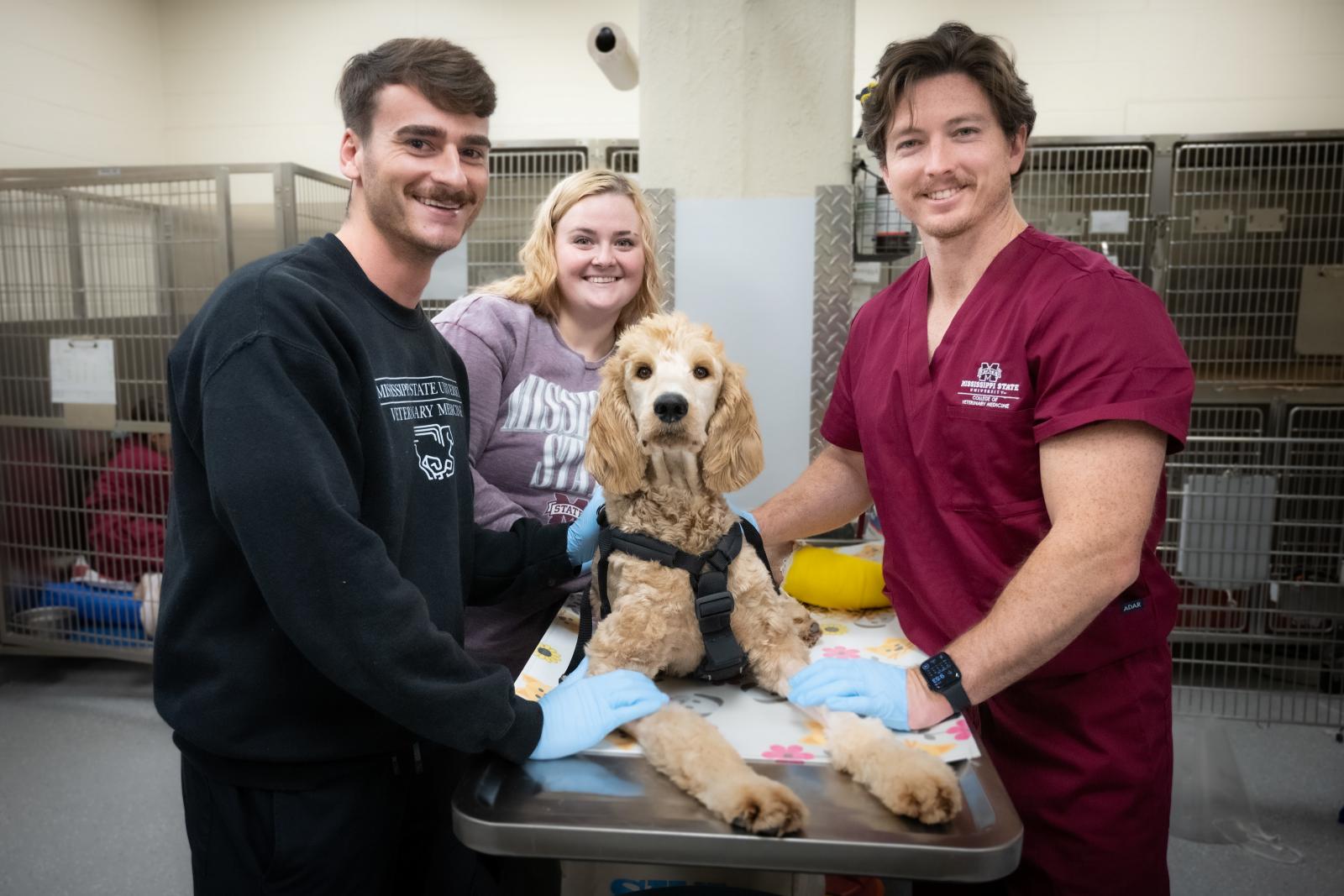 Patient Acklin, Left to right: Student Will Greer, CVT Ashlee Reed, Dr. Wes Beamon (Resident)