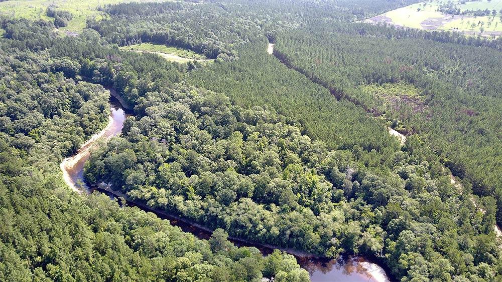 Drone footage of the future site of MSU’s Wolf River Coastal Forest Research and Education Center.