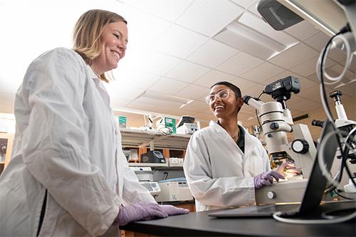 MSU Associate Professor Amy Dapper works in a laboratory with biological sciences graduate student Dharani Matharage.