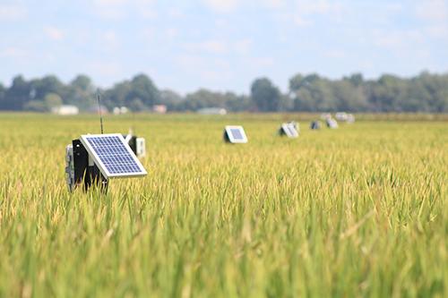 Soil moisture sensors are pictured in a field.
