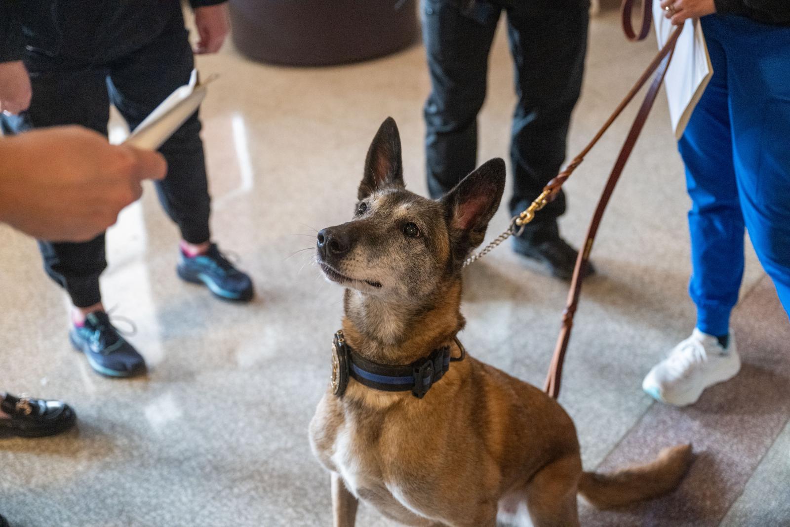 Bessi enjoys her Jan. 29 retirement reception. (Photo by Emily Grace McCall).