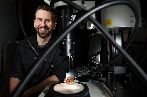 A portrait of JoVonn Hill.