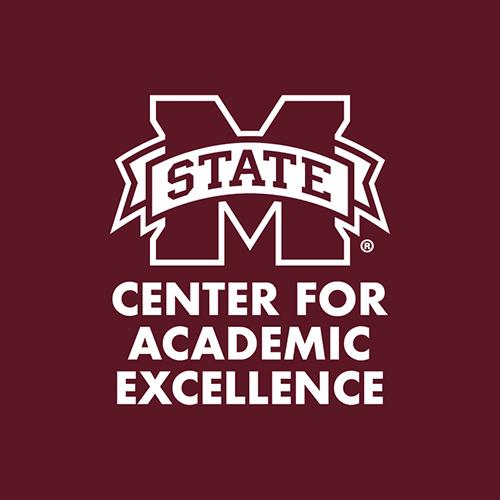 A logo for the MSU Center for Academic Excellence is shown.