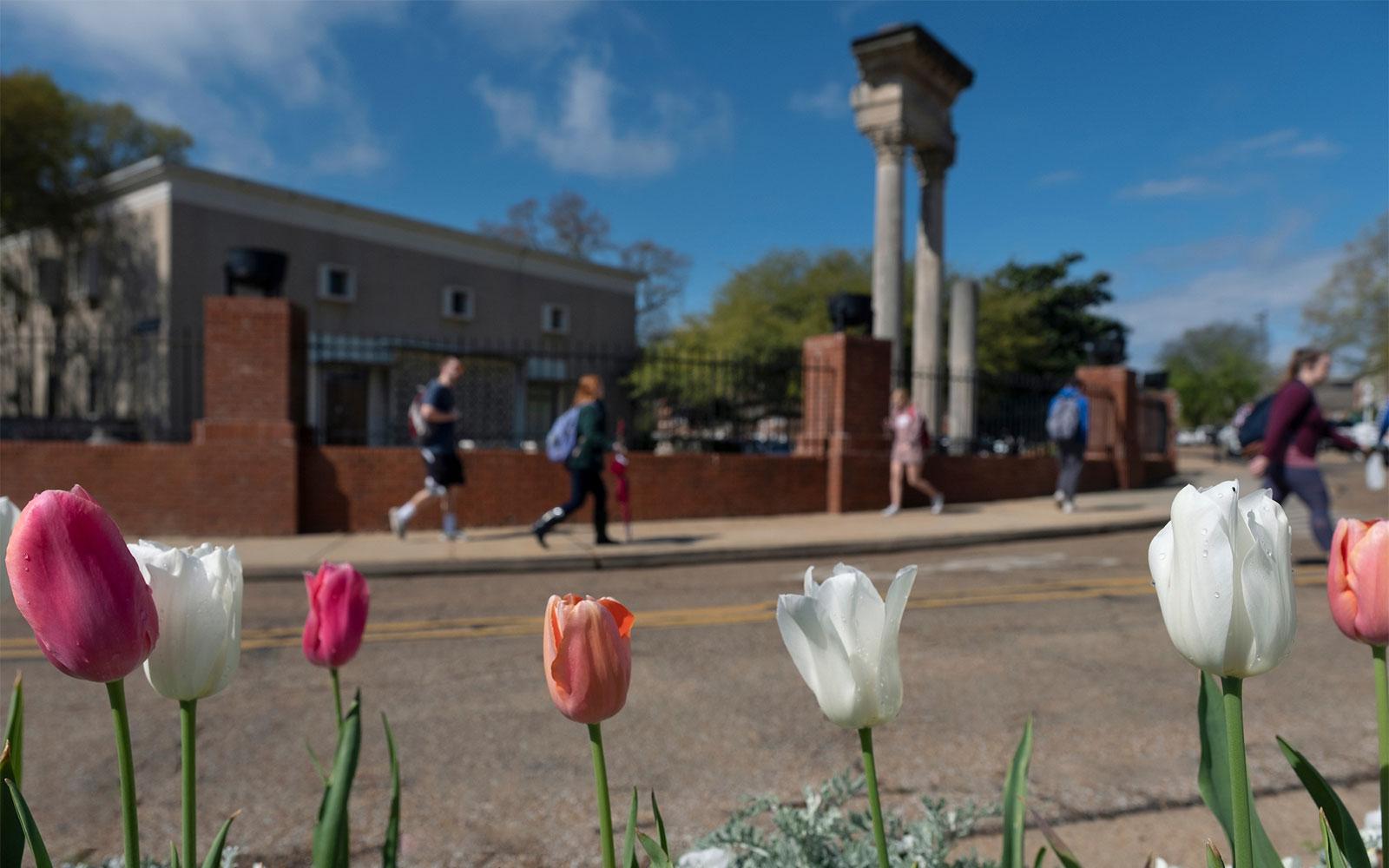 Students walk past MSU's Cobb Institute of Archaeology. (Photo by Megan Bean)