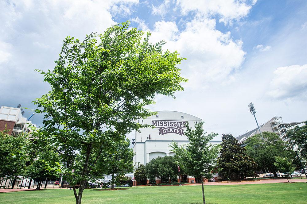 Trees frame MSU’s Junction near Davis Wade Stadium.