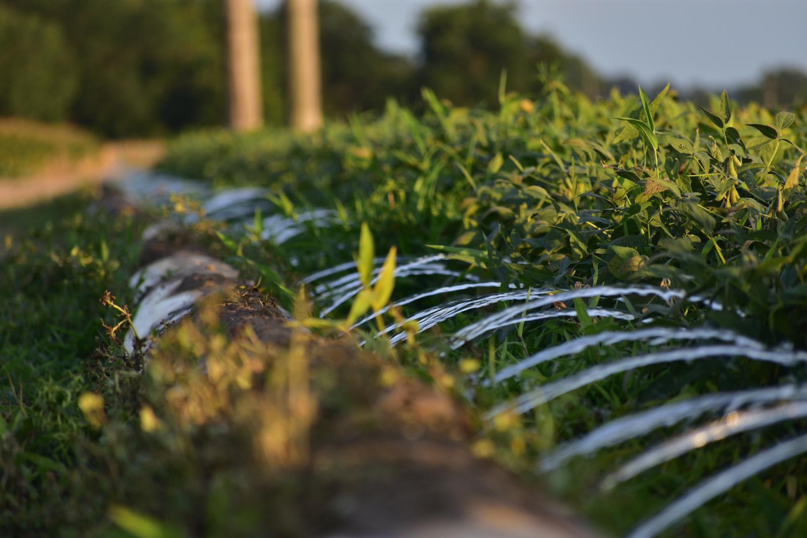 water irrigation system