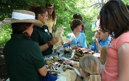 Children learn about conservation.