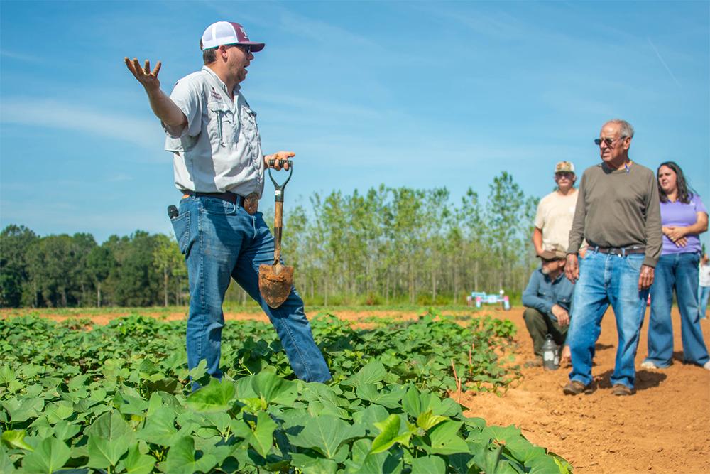 MSU Extension Sweet Potato Specialist Lorin Harvey discusses plant breeding and new varieties at the MSU Sweet Potato Field Day.